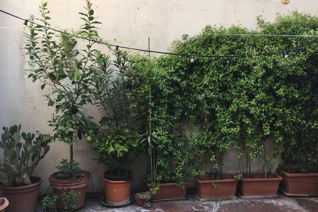 Sempione Yellow Milano Exterior foto